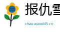 报仇雪恨网